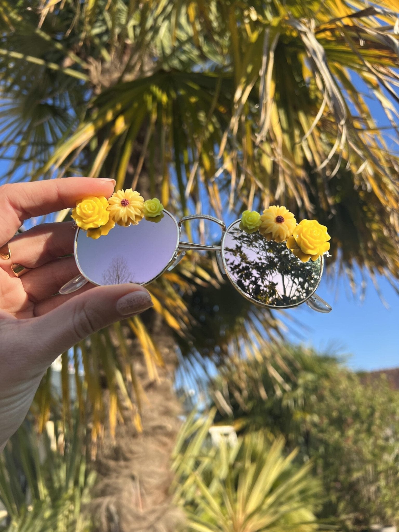 Lunettes de soleil Santa Rosa - Waïloa